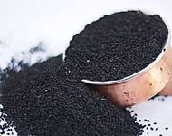 Coir Fiber