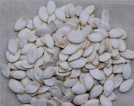 Coir Fiber