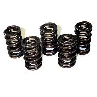 Heavy Compression Springs