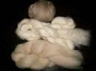 Coir Fiber
