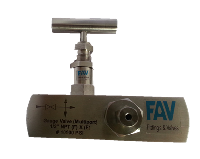 Multi-Port Gauge Valves