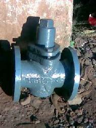 Gland Cock Valve