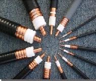 Coir Fiber