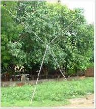 Coir Fiber