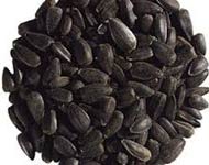 Coir Fiber