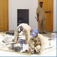 Coir Fiber