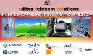 Coir Fiber