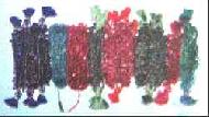 Coir Fiber