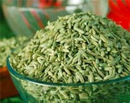 Coir Fiber