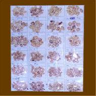 Coir Fiber