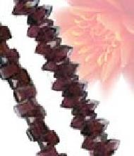 Coir Fiber