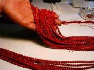 Coir Fiber