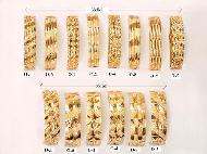Coir Fiber