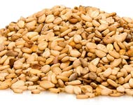 Coir Fiber