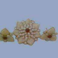 Coir Fiber