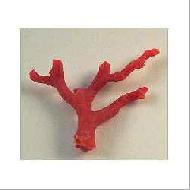 Coir Fiber