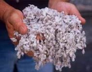 Coir Fiber