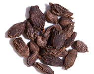 Coir Fiber