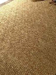 Coir Fiber