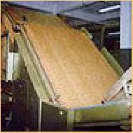 Coir Fiber