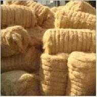 Coir Fiber