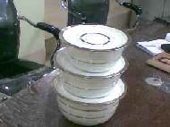 Coir Fiber