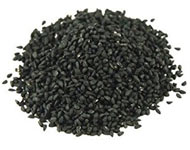 Coir Fiber