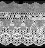 Coir Fiber