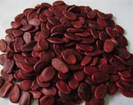 Coir Fiber