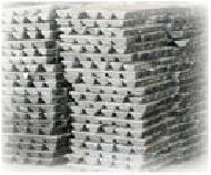 Coir Fiber
