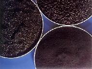 Coir Fiber