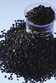 Coir Fiber