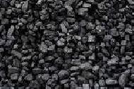 Coir Fiber