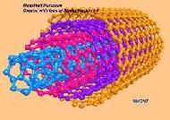 Coir Fiber