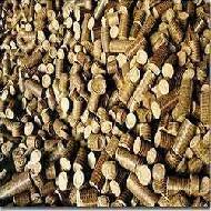 Coir Fiber