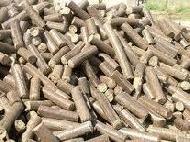 Coir Fiber