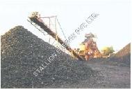 Coir Fiber
