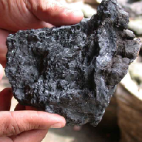 Coir Fiber