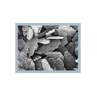 Coir Fiber