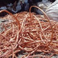 Coir Fiber