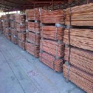 Coir Fiber