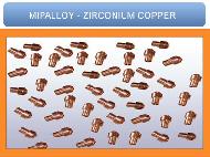 Coir Fiber