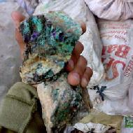 Coir Fiber