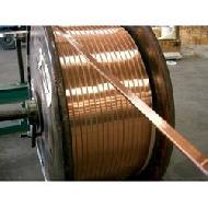 Coir Fiber