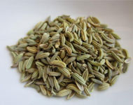 Coir Fiber