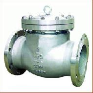 Check Valve Casting