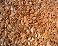 Coir Fiber
