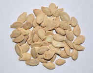 Coir Fiber