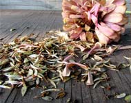 Coir Fiber