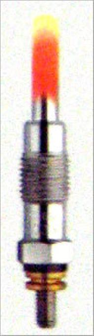 Coir Fiber